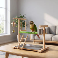 Wooden bird playstand on a living-room table with a green parrot perched on the green bar, beside a sofa and plant. 2