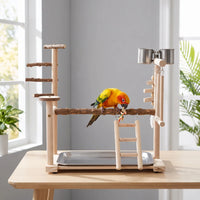 Colourful parrot perched on the central branch of the wooden play stand in a bright room, shown on a table. 2