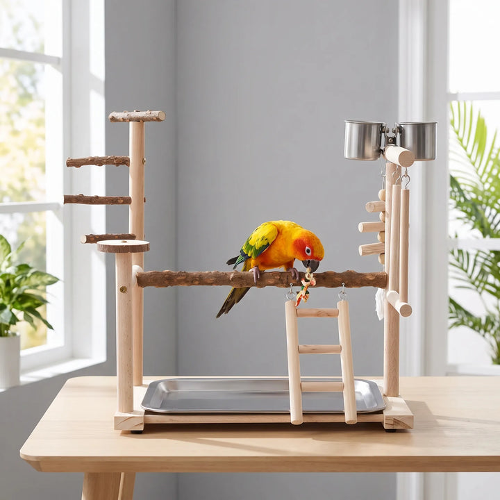 Colourful parrot perched on the central branch of the wooden play stand in a bright room, shown on a table. 2