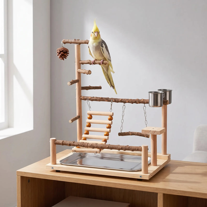 Wooden play stand on a sideboard by a window, with a yellow and grey cockatiel perched on the top branch. 2