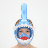 Full Face Snorkel Mask - Visifin