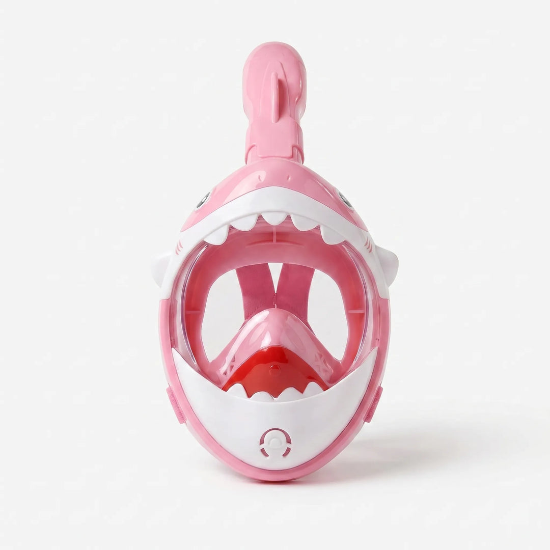 Full Face Snorkel Mask - Visifin