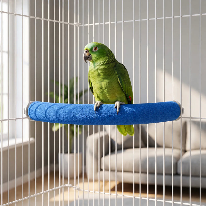 Green parrot perched on the blue sand-textured curved perch, fitted inside a white cage in a bright living room. 2