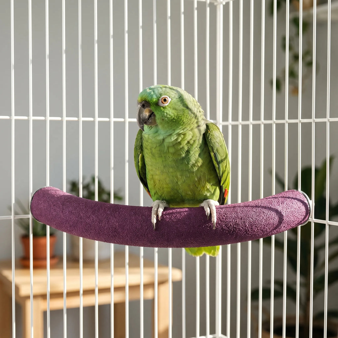 Green parrot standing on a purple textured curved perch mounted between the bars of a white cage. 3