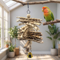 Toy hung from a branch in a bright room, with a green and orange lovebird perched on a twig beside it. 2