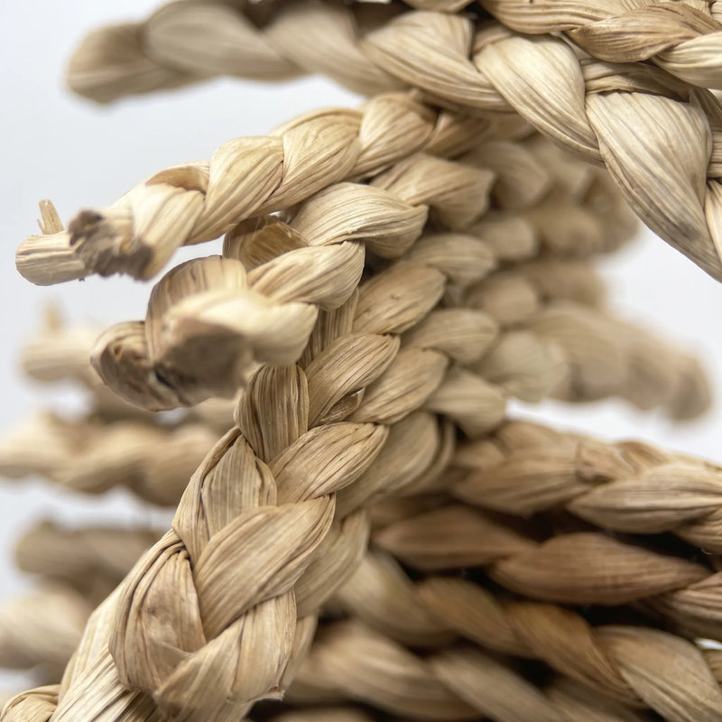 Close-up of the pale braided straw strands, showing the woven texture and a frayed, chewed end. 3