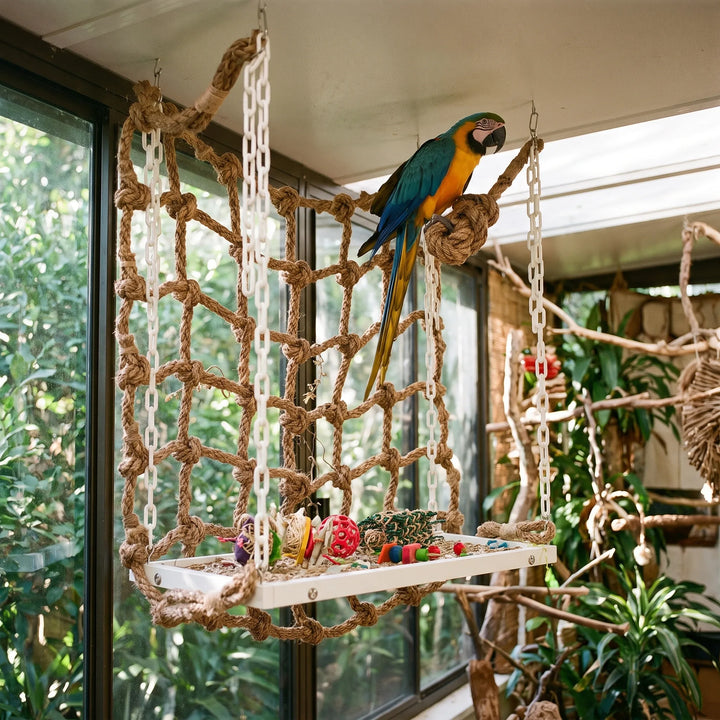 Blue and yellow macaw sitting on a rope knot of the hanging net, with toys on the platform below. 3