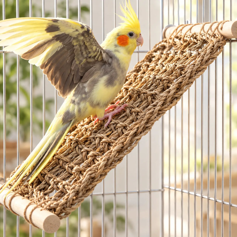 A yellow and grey cockatiel with raised wing perches on the mat, which is fixed at an angle inside a wire cage. 2