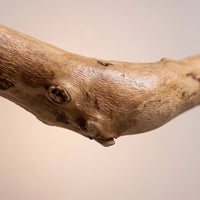 Close-up of the wood's textured grain and small knots along a bend in the natural branch, against a soft beige background. 4