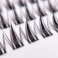 Glue-Free Lash Clusters - Celiara