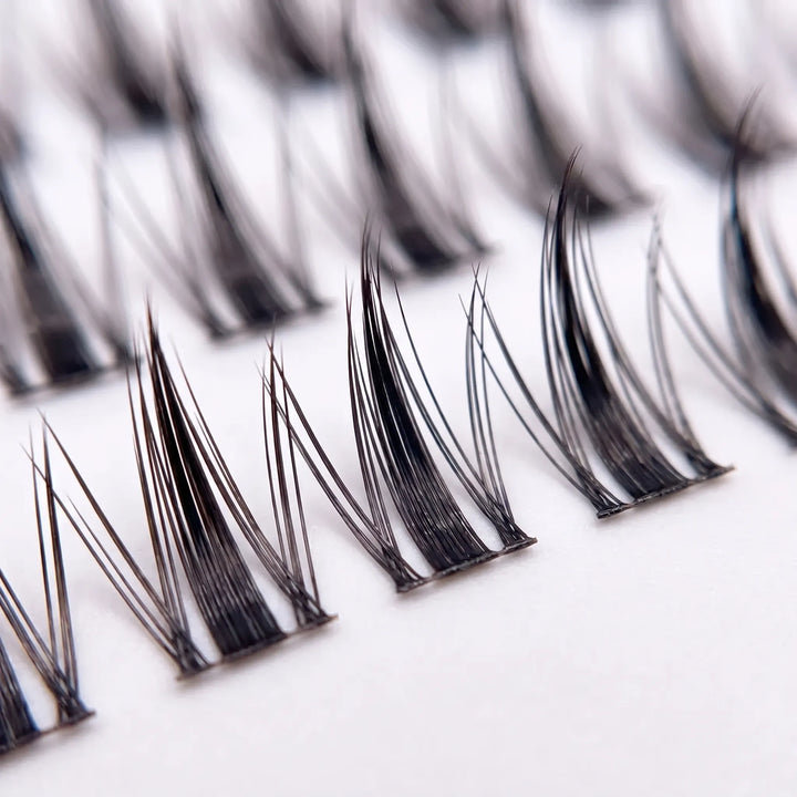 Glue-Free Lash Clusters - Celiara