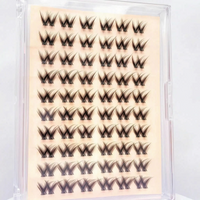 Glue-Free Lash Clusters - Celiara