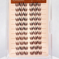 Glue-Free Lash Clusters - Celiara