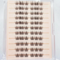 Glue-Free Lash Clusters - Celiara