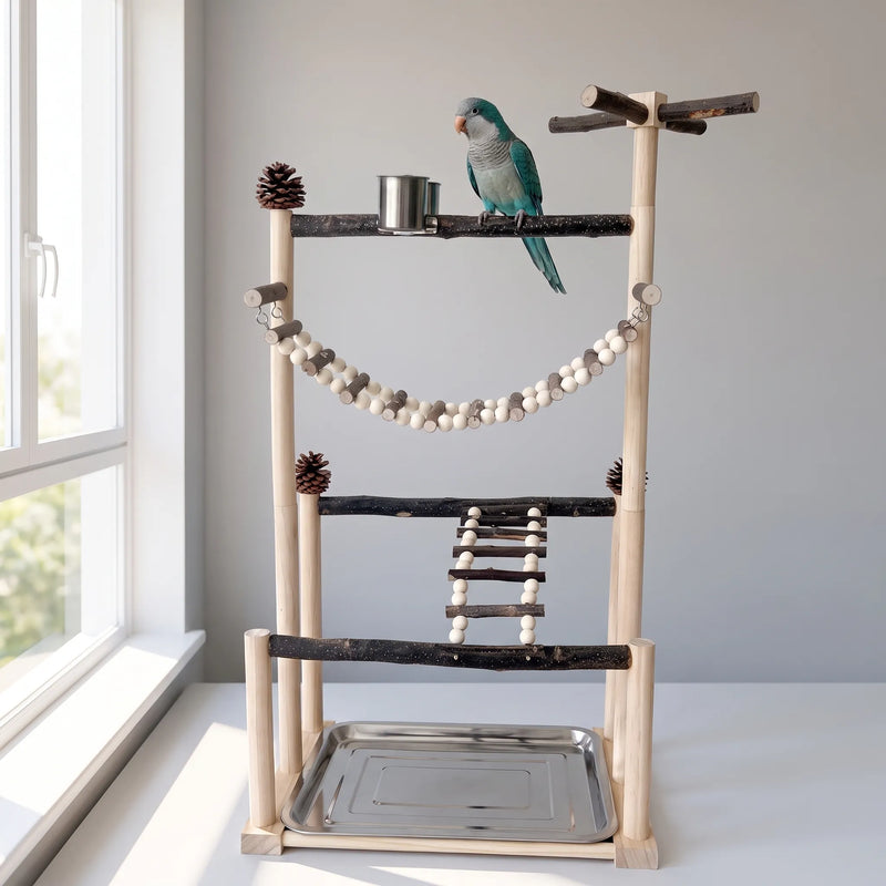 The same playstand beside a bright window, with a teal and grey parakeet perched on the top branch above the food cup. 2