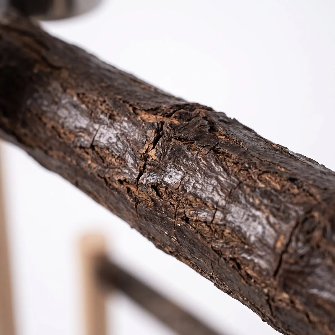 Close-up of a rough, dark natural branch perch, showing the textured, cracked bark surface against a blurred pale background. 3