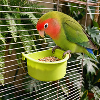 A green and red lovebird perches on the rim of a green hanging bowl filled with seed mix inside a cage. 2