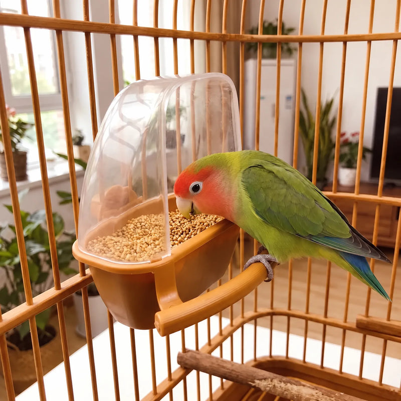 Feeder with orange base attached inside a cage, filled with seed while a green and red lovebird perches and eats. 2