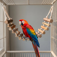 Red, blue and yellow macaw perched on the lowest rung of the hanging wooden rope bridge fitted inside a spacious metal bird cage. 2