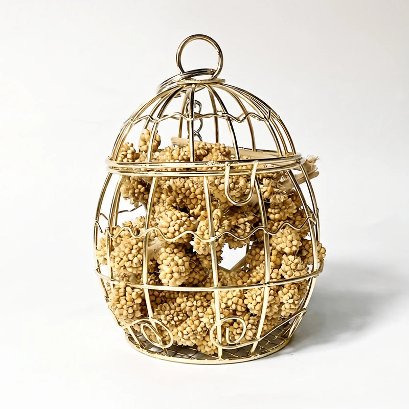 Egg-shaped gold-coloured wire cage with a top ring, packed with dried millet sprays, shown against a plain white background. 1