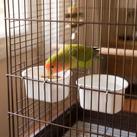 Two white bowls hooked onto cage bars, with a green and orange lovebird eating seed from the left one. 2