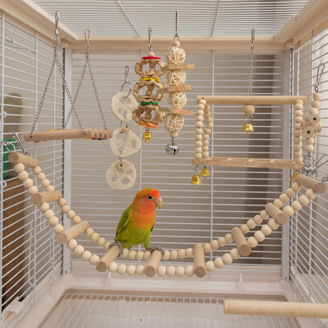 Colourful lovebird perched on a curved bead-and-wood bridge inside a cage, with the other hanging toys and bells around it. 2