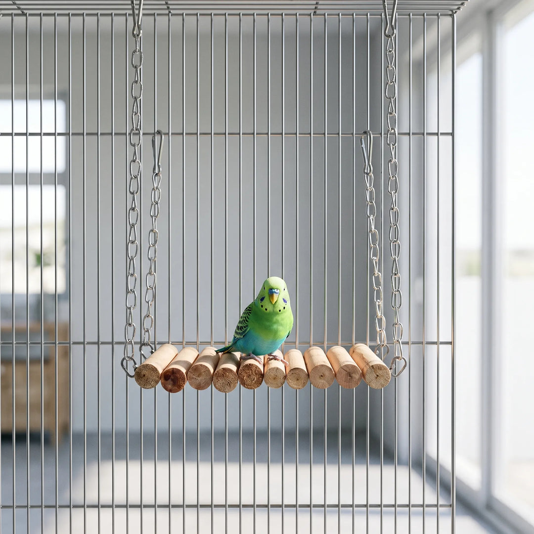 Green and blue budgerigar perched on the wooden dowel bridge, which hangs by chains inside a wire cage. 2