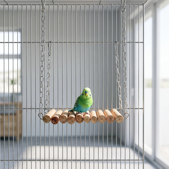 Green and blue budgerigar perched on the wooden dowel bridge, which hangs by chains inside a wire cage. 2