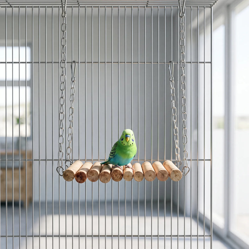 Green and blue budgerigar perched on the wooden dowel bridge, which hangs by chains inside a wire cage. 2