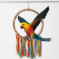 Colourful parrot with wings spread perched on a natural rope ring with multicoloured fringe, hung from a metal clip on a cage bar. 1
