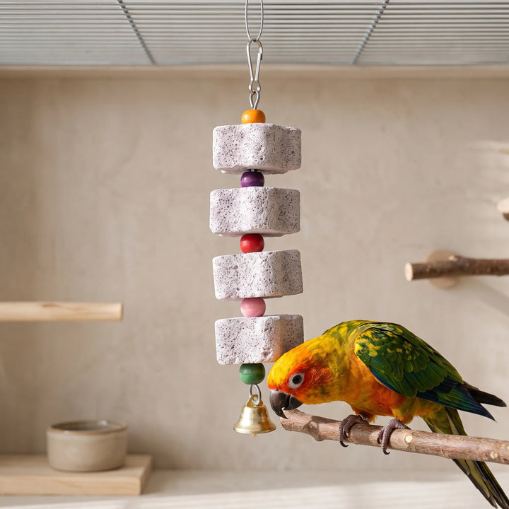 A yellow, orange and green parrot perched on a branch beside the hanging stone and bead toy inside a wooden-backed cage. 2
