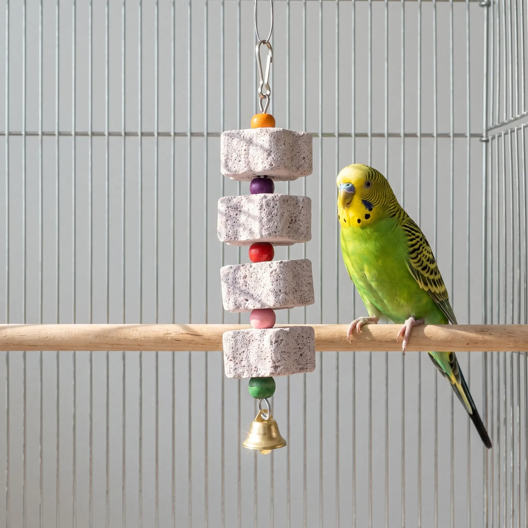 A green and yellow budgie perches on a wooden bar next to the dangling stone-block toy with colourful beads and a bell. 3