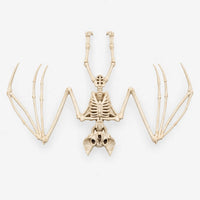Hanging Bat Skeleton - Nocturnia