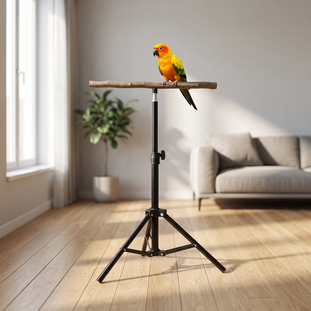 Stand in a bright living room with a colourful orange, yellow and green parrot perched on the wooden branch. 2