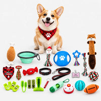 Smiling corgi in a red plaid bandana sitting behind the full set of festive dog toys and accessories laid out on white. 2