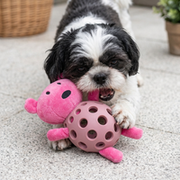 Interactive Dog Toy - SqueakBear