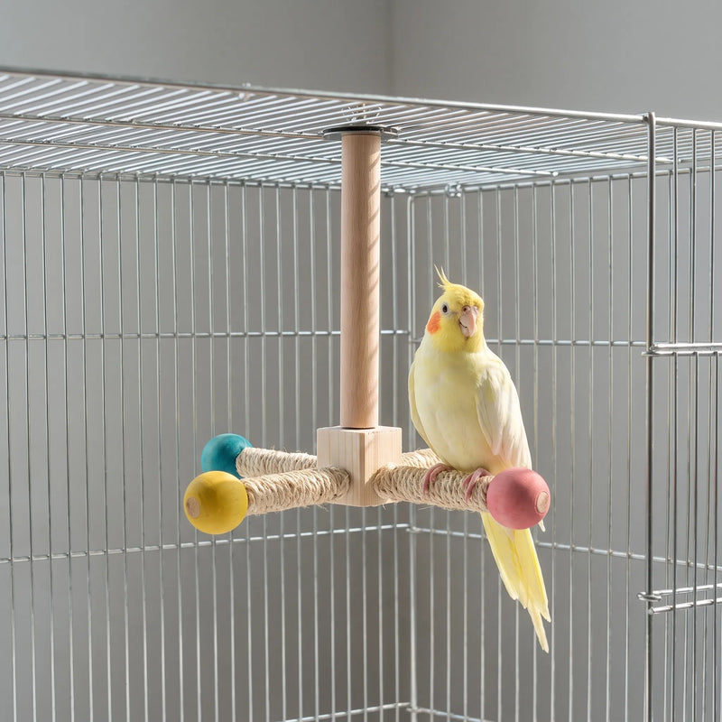 Cockatiel with orange cheeks perched on a sisal arm of the wooden perch, fixed to the roof of a wire cage. 3