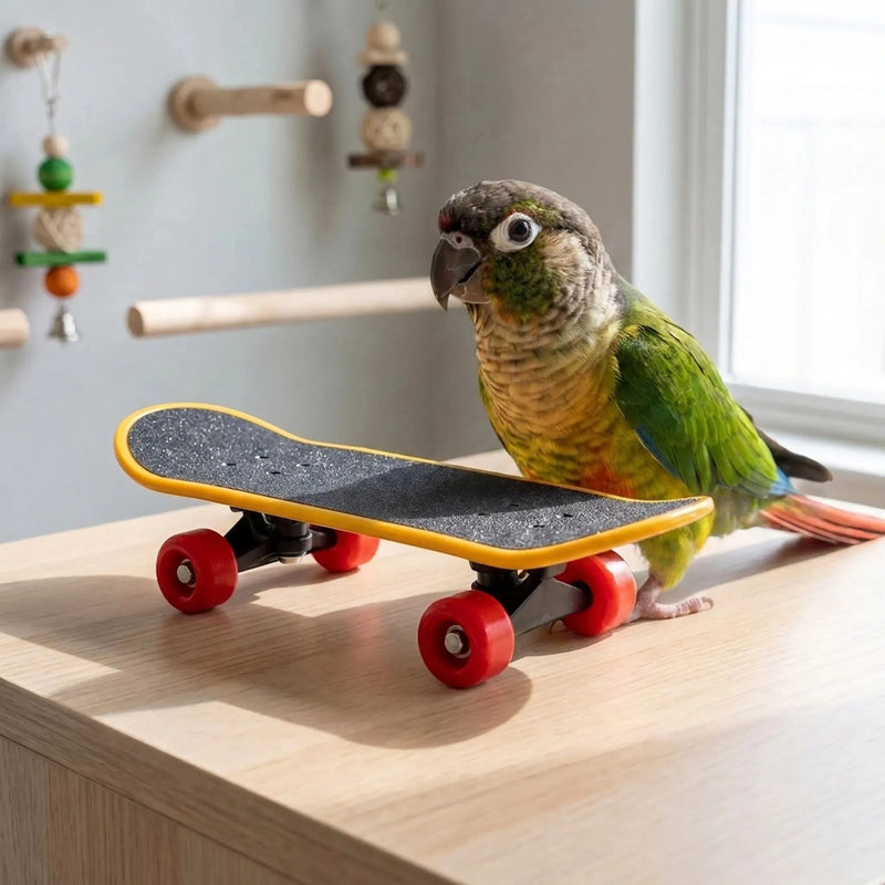 Green and orange parrot standing beside the miniature skateboard on a wooden surface, with hanging toys and perches behind. 2