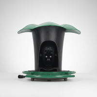 Kamera Integriertes Gartendekor - BirdGuardPro