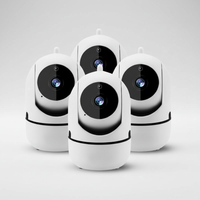 Kompakte Indoor Kamera - NestGuard