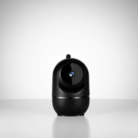 Kompakte Indoor Kamera - NestGuard