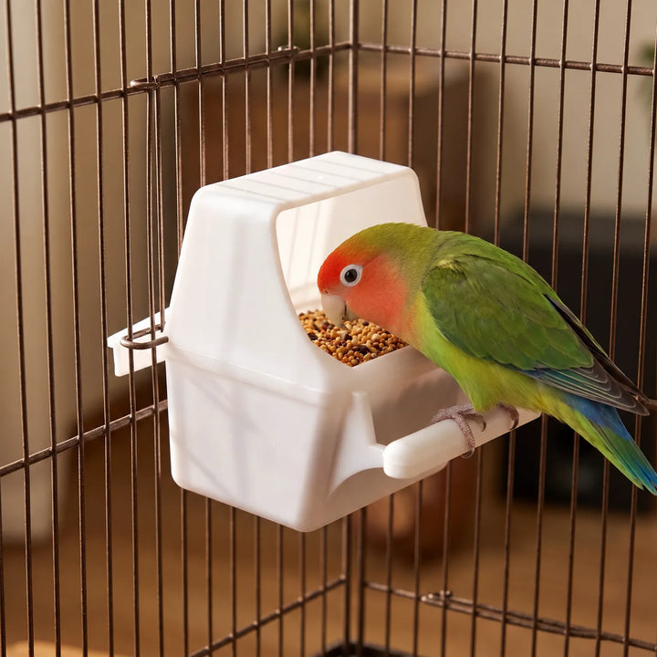 Green lovebird with a red face perched on the feeder fixed to the cage bars, eating seed from the tray. 2
