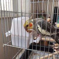 Grey and yellow cockatiel feeding from the white feeder clipped to a metal cage, seen through the bars. 3