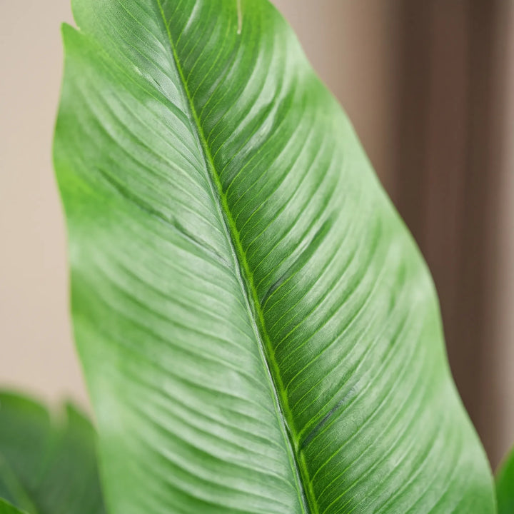 Large Artificial Tropical Plant - Tropikys