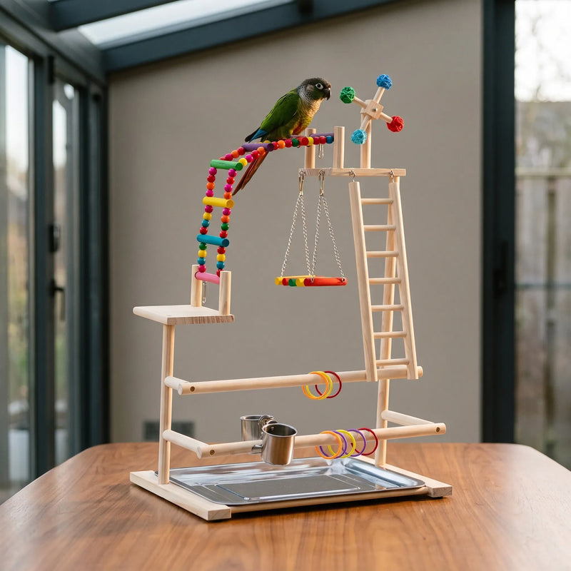 Green parrot perched on the beaded ladder of the wooden playground, which stands on a wooden table in a bright conservatory. 2