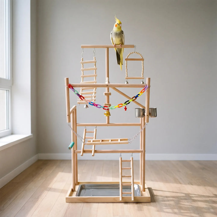 Wooden bird playground in a bright empty room with a cockatiel perched on the top bar above the swings and ladders. 2