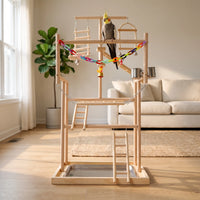 Wooden bird playground in a living room with a cockatiel on the upper perch, beside a sofa, rug and potted plant. 3
