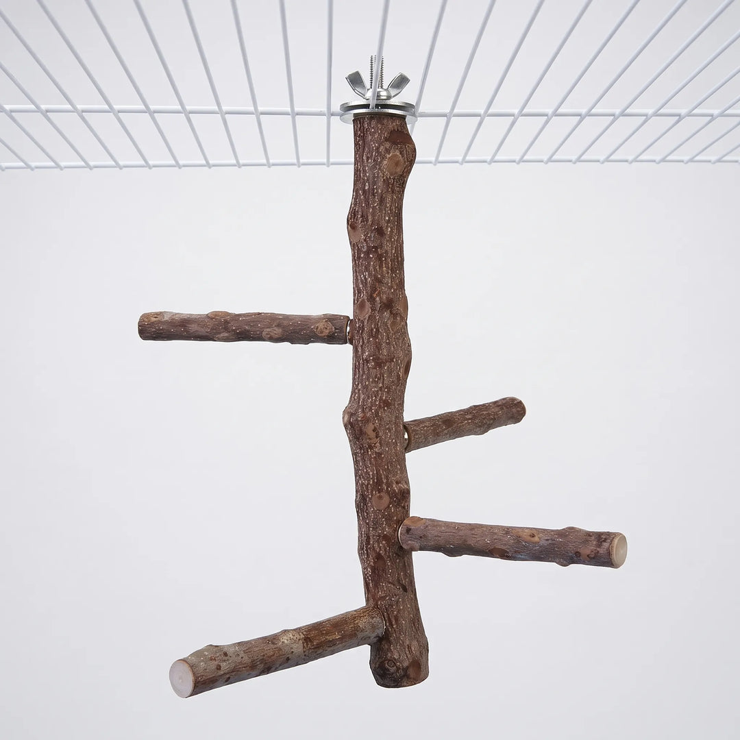 Natural wooden bird perch with four side branches, fixed to the top of a white wire cage by a metal wing nut and washer. 1