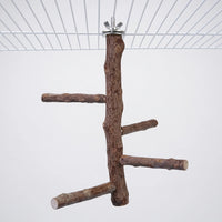 Natural wooden bird perch with four side branches, fixed to the top of a white wire cage by a metal wing nut and washer. 1