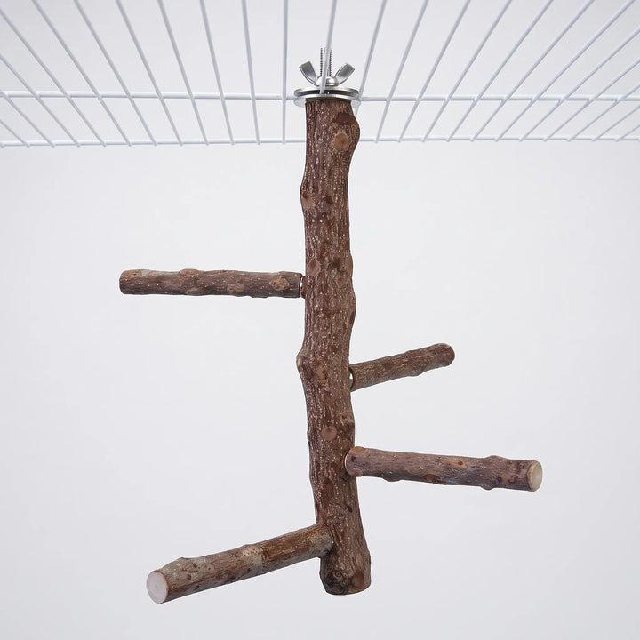 Natural wooden bird perch with four side branches, fixed to the top of a white wire cage by a metal wing nut and washer. 1